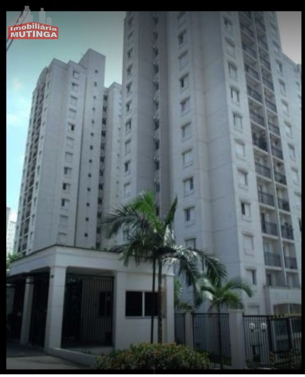Apartamento São Paulo   Jardim Íris  